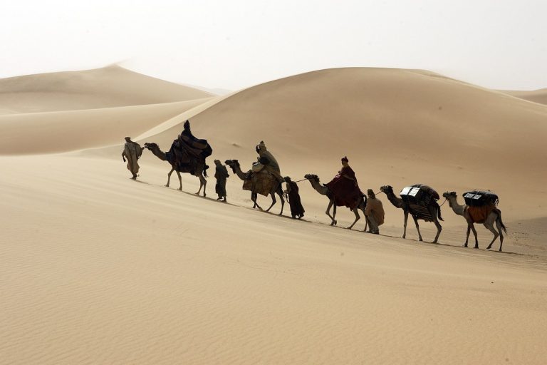 نگاه اسلام به پديده مهاجرت