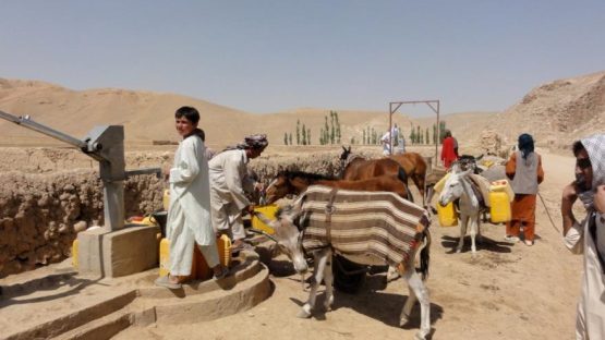 خشکسالی بیش از تنش و درگیری در افغانستان موجب مهاجرت می‌شود