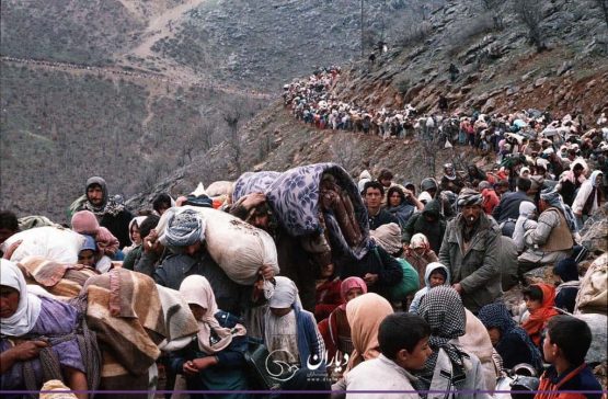 آخرین آمار مهاجرت از افغانستان (هفته آخر مهر ۱۴۰۱)